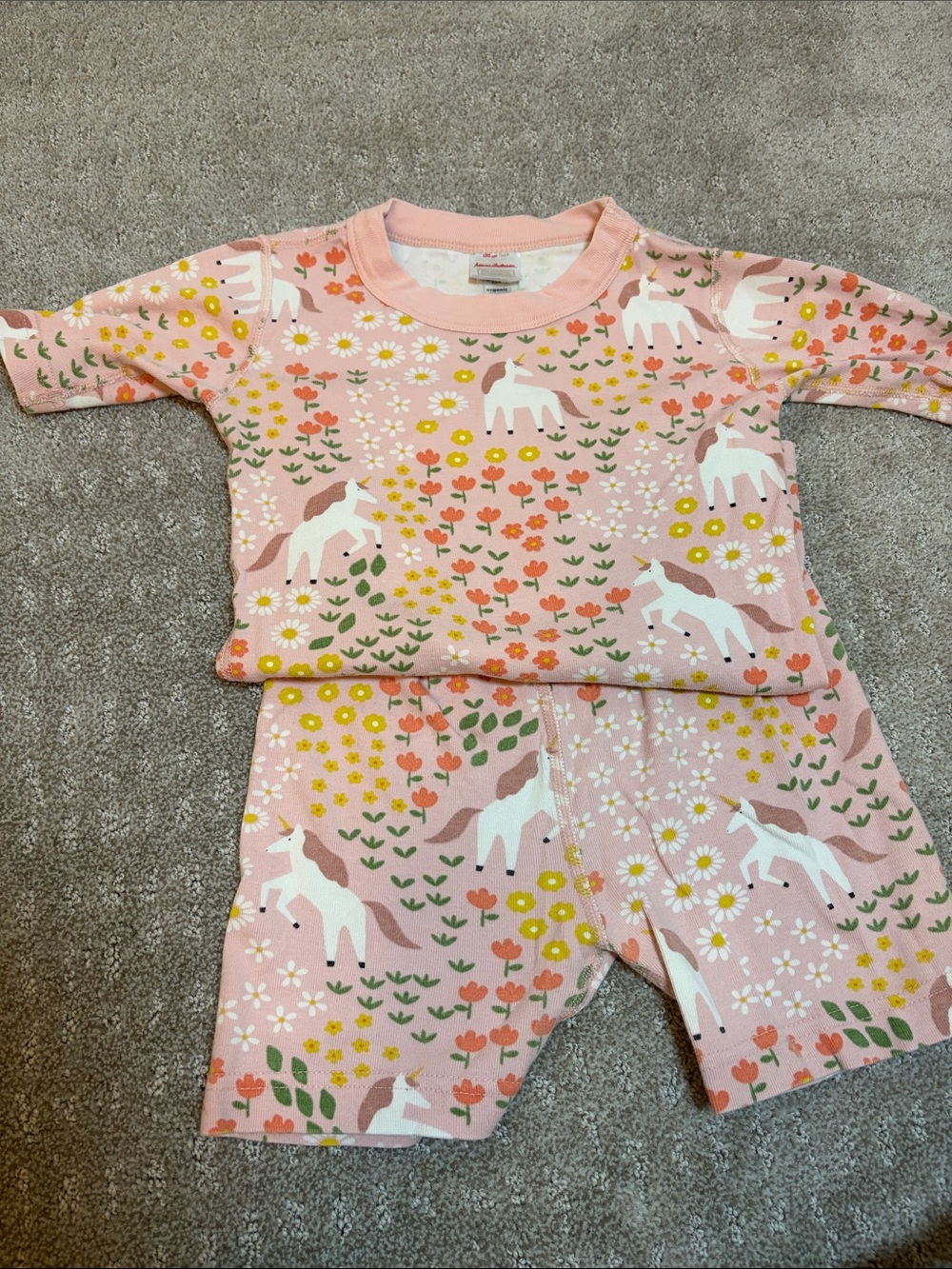 Hanna Andersson Pink Unicorn & Floral Two-Piece Pajama Set